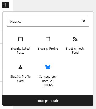 Widgets disponibles pour WordPress