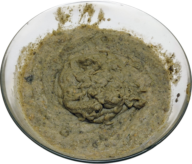 Purée de légumes