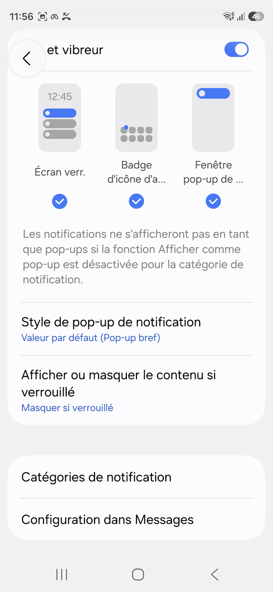 Infos de l'appli SMS catégories de notifications